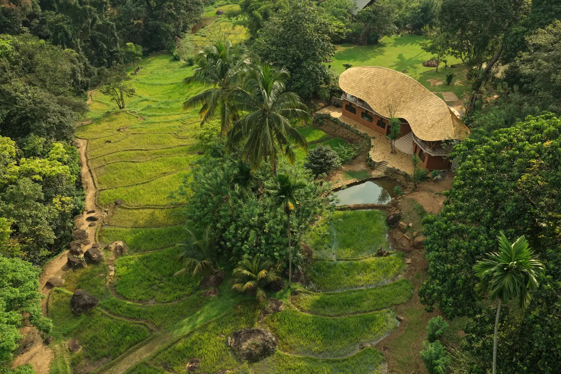 Aerial view of the rice terraces and gardens running down to the Bamboo Restaurant