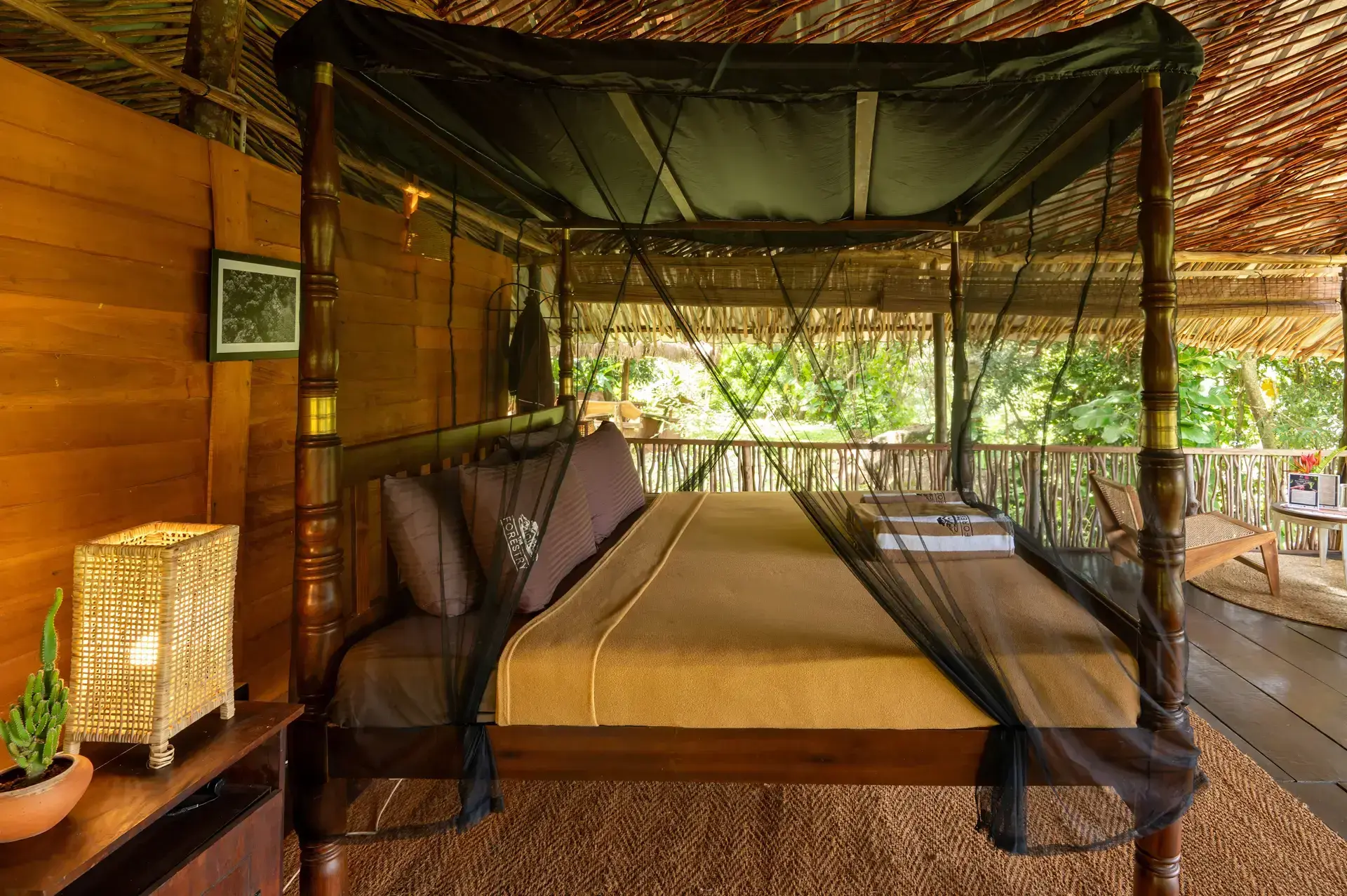 Inside the Hornbill Chalet