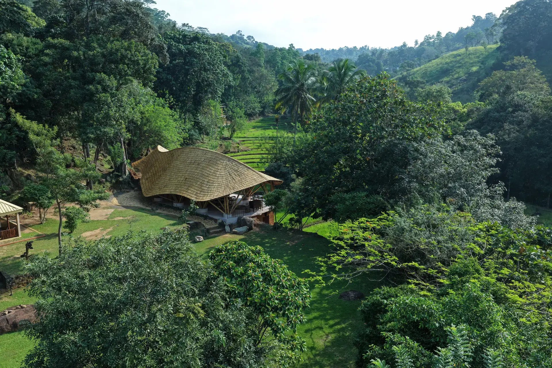 The Forestry from above, with the valley and terraced fields behind