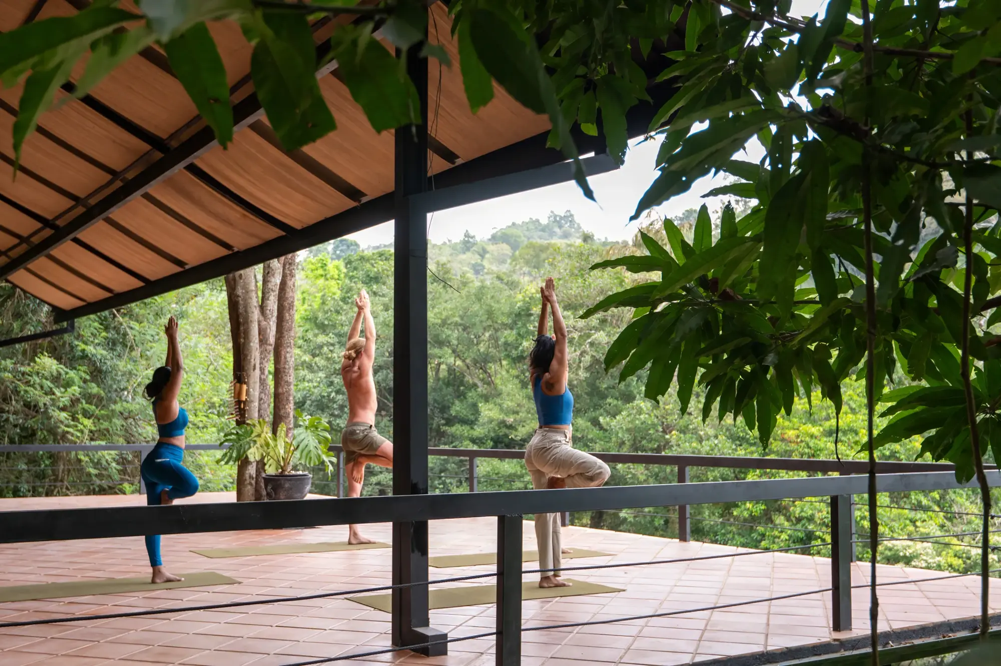 Three guests in tree pose on the open yoga deck, framed by forest