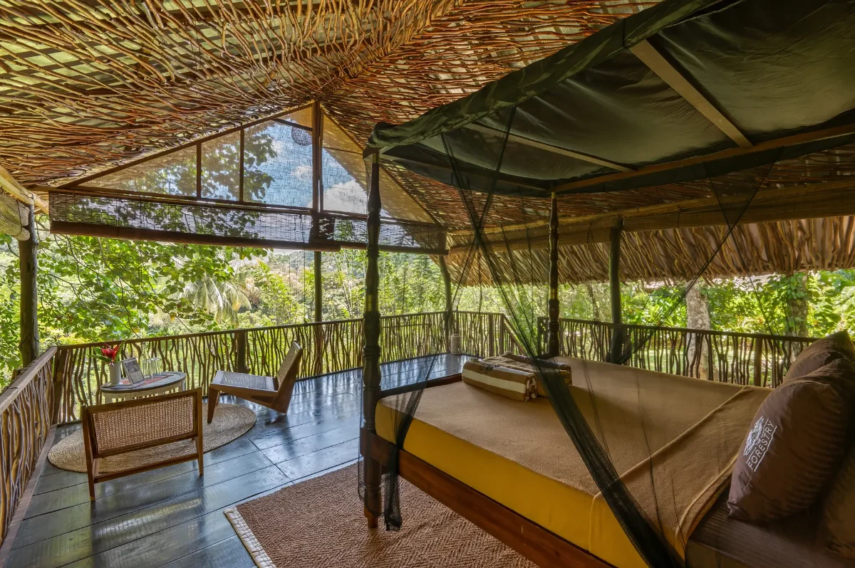 An eco chalet among the trees