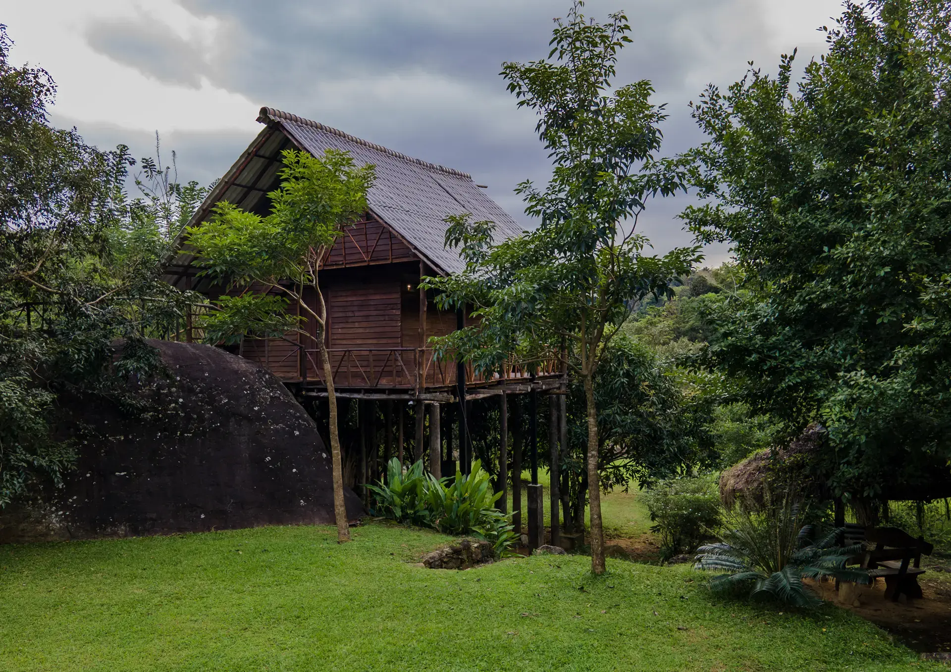 The Treehouse, photo 4