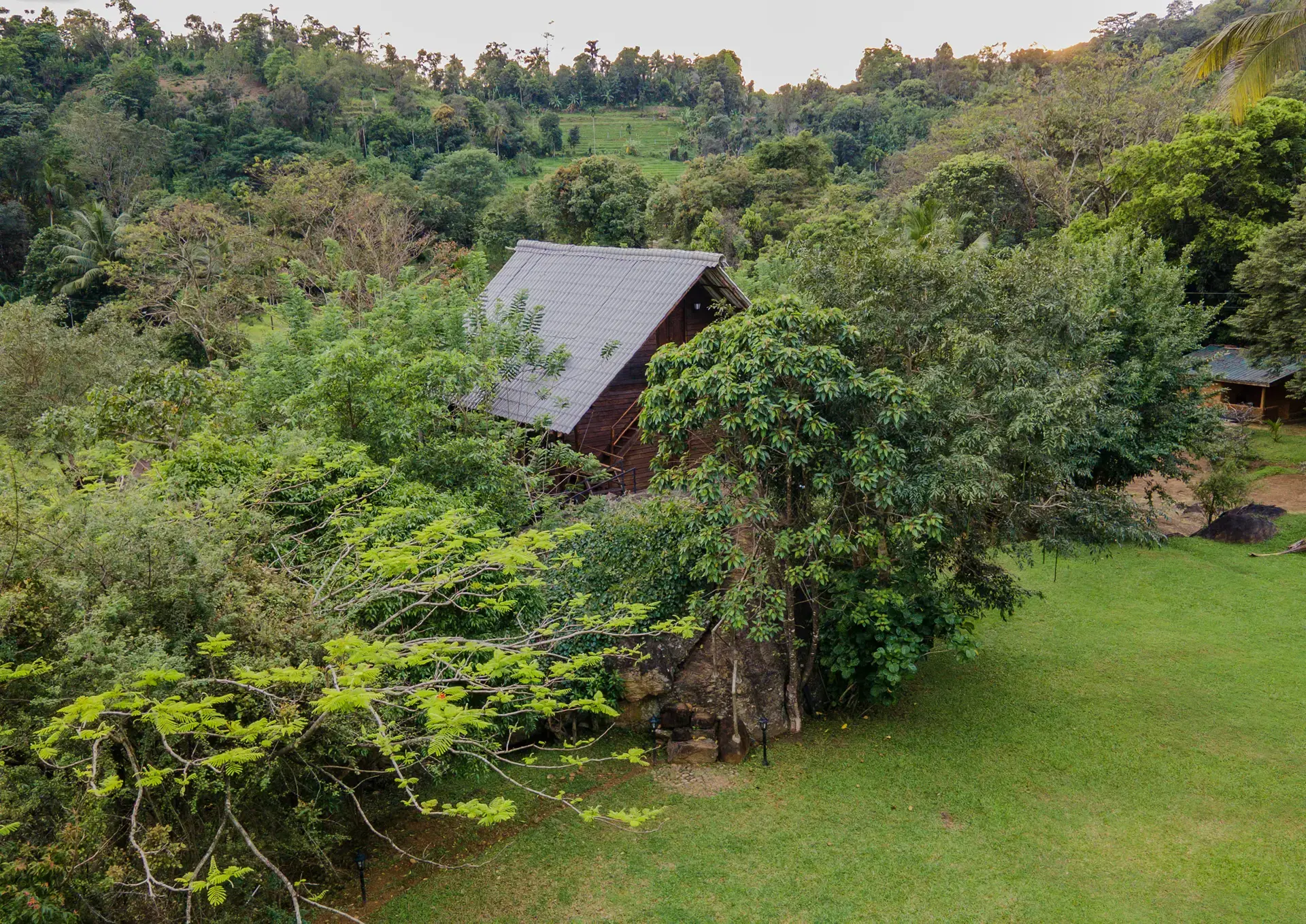 The Treehouse, photo 5