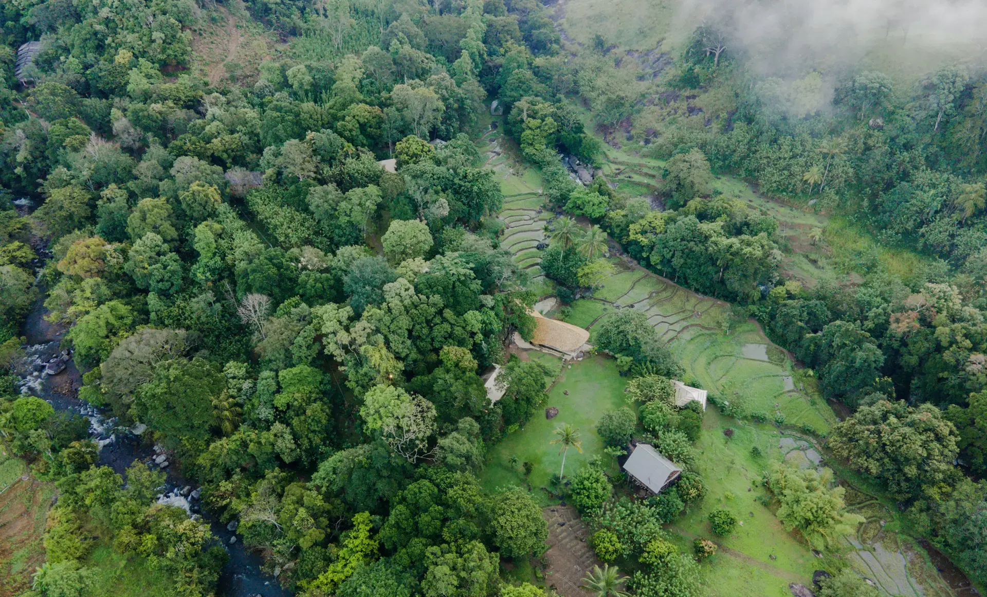 Aerial view of The Forestry grounds, paddy fields and the rivers
