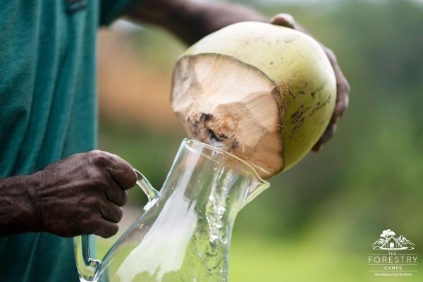 coconut-water