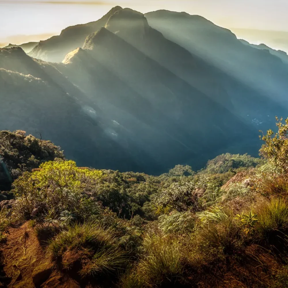 Horton Plains in Sri Lanka