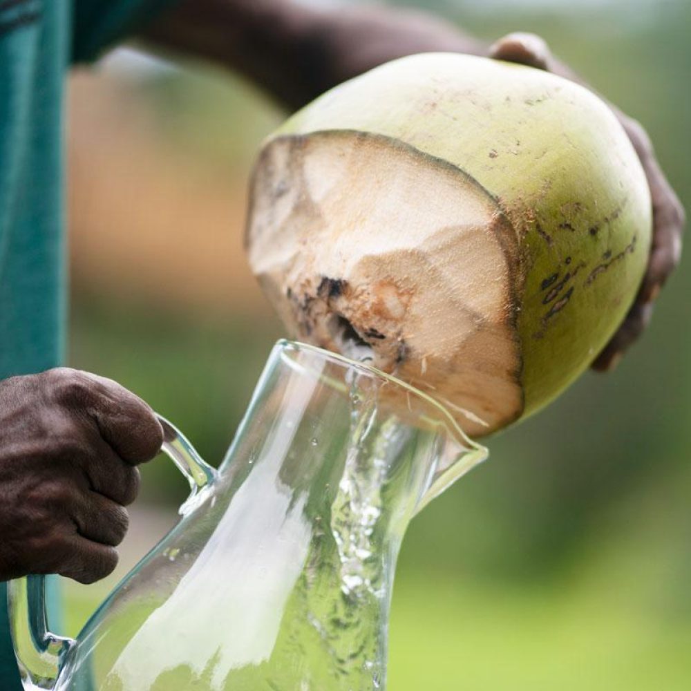 coconut-water