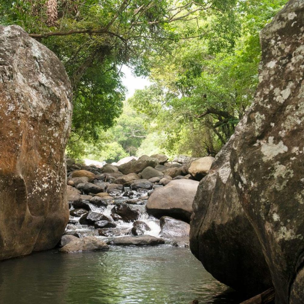 river_stones