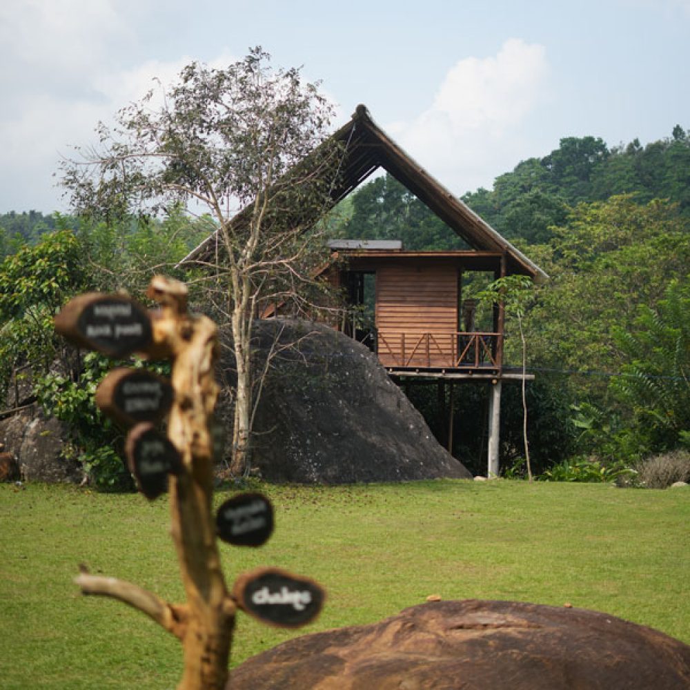 tree-house